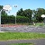 Basketball Court