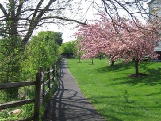 Walking Path Walking Path